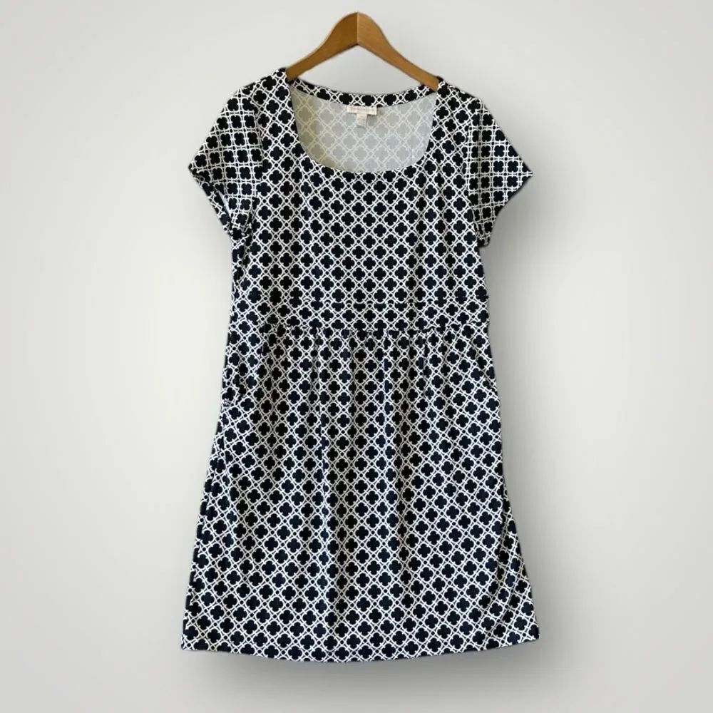 🎉5 for 45   🎉Charter Club Dress Size L